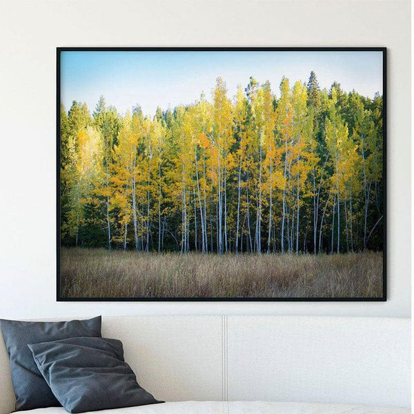 Wall Art & Paintings - Birch Trees Wall Painting - Black Frame