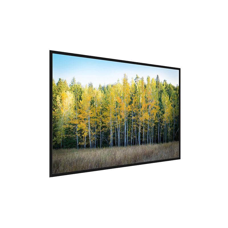 Wall Art & Paintings - Birch Trees Wall Painting - Black Frame