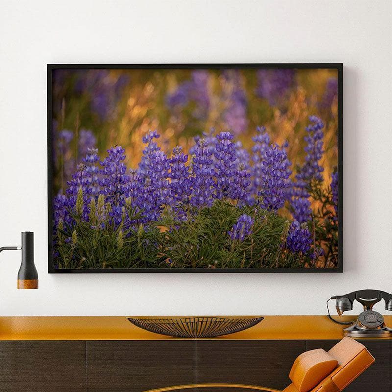 Wall Art & Paintings - Lupine And Other Wildflowers Painting - Black Frame