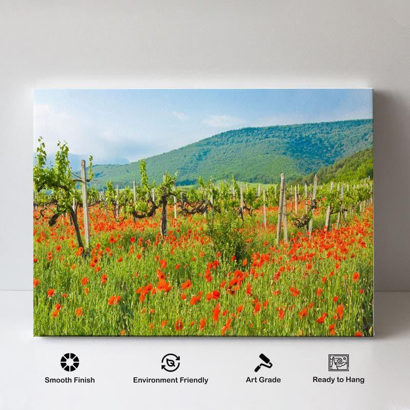 Wall Art & Paintings - Vineyard And Hills Wall Painting - Gallery Wrap