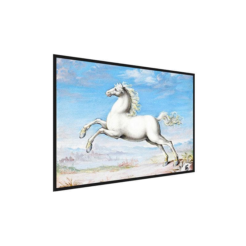 Wall Art & Paintings - White Horse Canvas Painting By Joris Hoefnagel - Black Frame