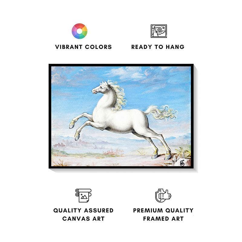 Buy White Horse Canvas Painting By Joris Hoefnagel - Black Frame Wall Art & Paintings from Vaaree