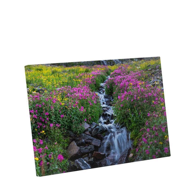 Buy Wildflowers Below Clements Mountain Painting By Jacob W. Frank - Gallery Wrap Wall Art & Paintings from Vaaree