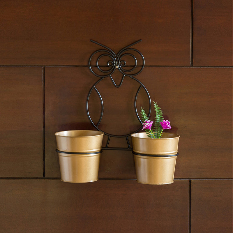 Buy Double Hoot Wall Planter - Set Of Three Pots & Planters from Vaaree