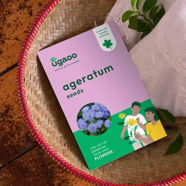 Buy Ugaoo Ageratum Seeds (200 Seeds) at Vaaree online | Beautiful Seeds to choose from