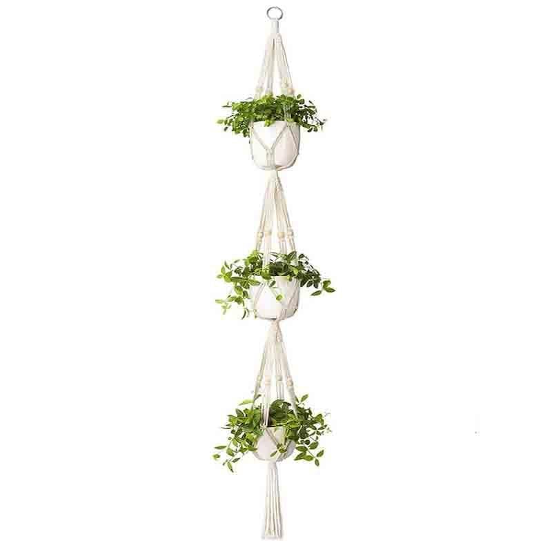 Buy Sofia Macrame Plant Hanger - Set Of Two at Vaaree online | Beautiful Pots & Planters to choose from