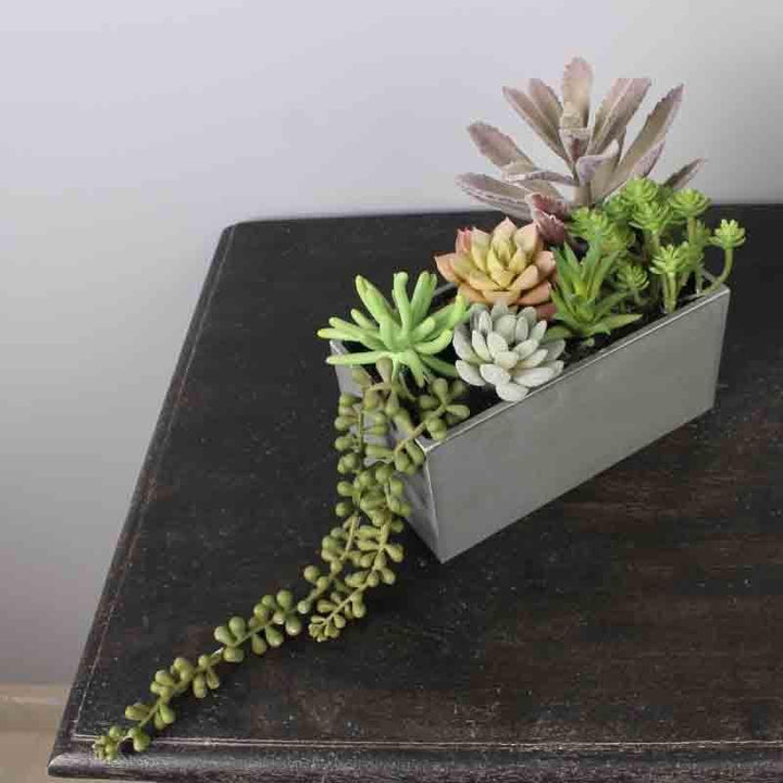 Buy Faux Succulent Plants In Tray - Grey at Vaaree online | Beautiful Artificial Plants to choose from