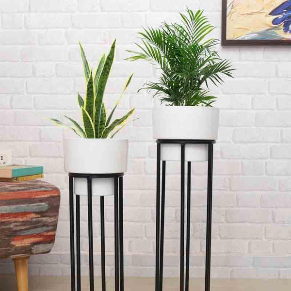 Buy Whimsy Planter With Stand - Set Of Two at Vaaree online | Beautiful Pots & Planters to choose from