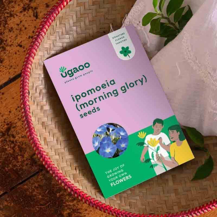 Buy Ugaoo Ipomoea Seeds at Vaaree online | Beautiful Seeds to choose from