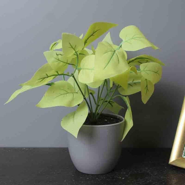 Buy Lumia Pot With Faux Golden Pothos - Grey at Vaaree online | Beautiful Artificial Plants to choose from
