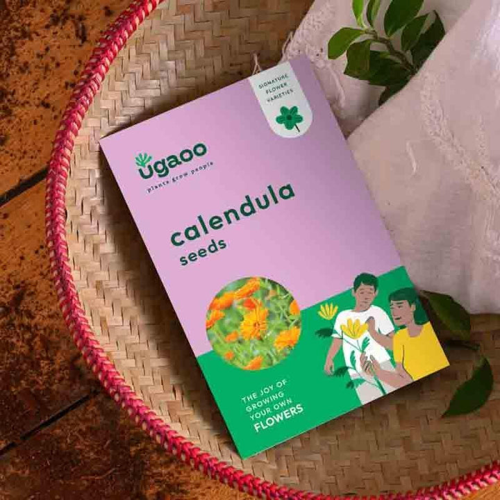 Buy Ugaoo Calendula Seeds at Vaaree online | Beautiful Seeds to choose from