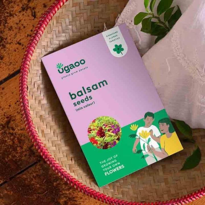 Buy Ugaoo Balsam Mix Seeds at Vaaree online | Beautiful Seeds to choose from