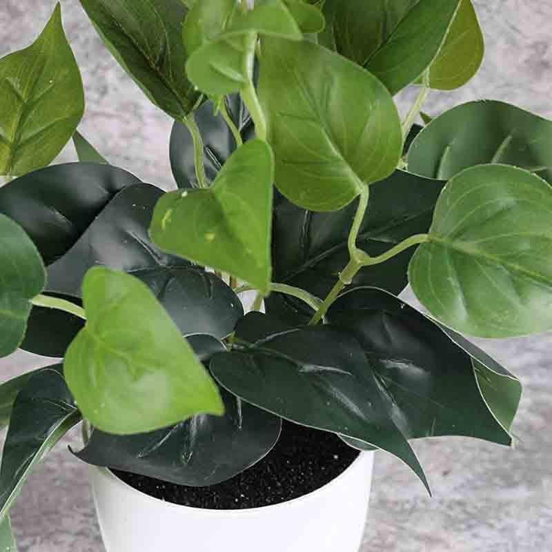 Buy Lumia Pot With Faux Philodendron Bush - White at Vaaree online | Beautiful Artificial Plants to choose from