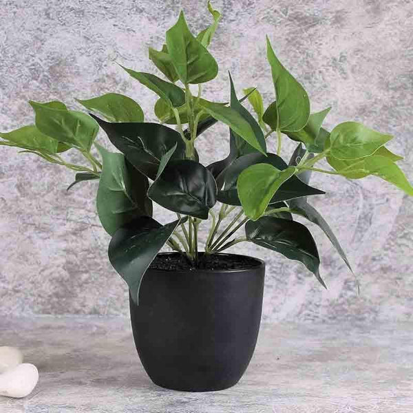 Buy Lumia Pot With Faux Philodendron Bush - Black at Vaaree online | Beautiful Artificial Plants to choose from