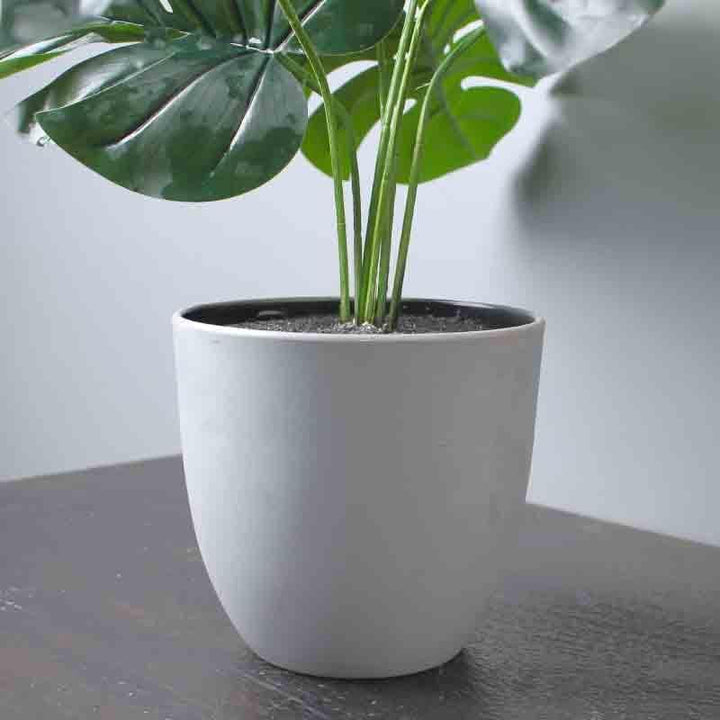 Buy Lumia Pot With Monstera Plant - Grey at Vaaree online | Beautiful Artificial Plants to choose from