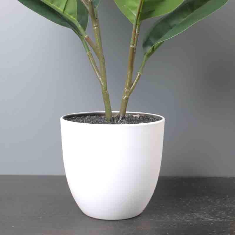 Buy Lumia Pot With Rubber Plant - White at Vaaree online | Beautiful Artificial Plants to choose from