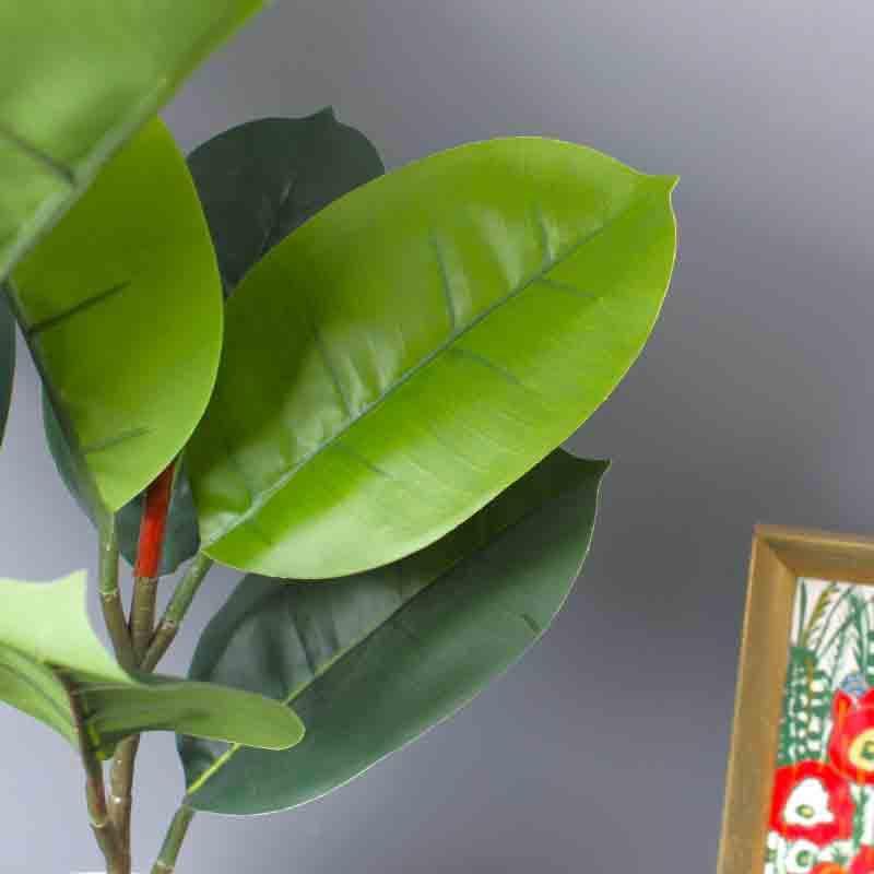 Buy Lumia Pot With Rubber Plant - White at Vaaree online | Beautiful Artificial Plants to choose from