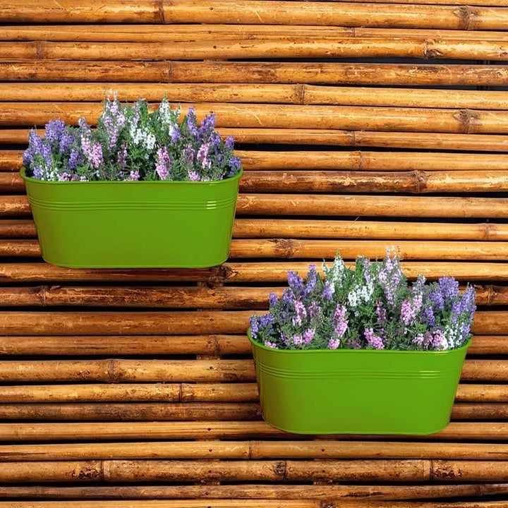 Buy Envious Green Planter at Vaaree online | Beautiful Pots & Planters to choose from