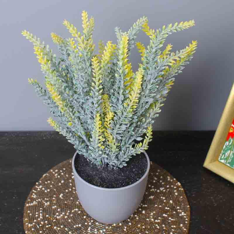 Buy Lumia Pot With Faux Yellow Lavender Bush - Grey at Vaaree online | Beautiful Artificial Plants to choose from