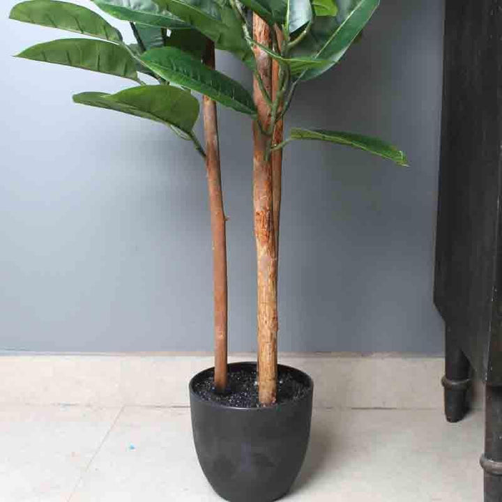 Buy Lumia Pot With Faux Large Rubber Plant at Vaaree online | Beautiful Artificial Plants to choose from