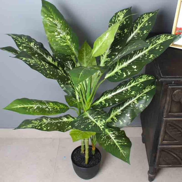 Buy Lumia Pot With Faux Dieffenbachia Plant at Vaaree online | Beautiful Artificial Plants to choose from