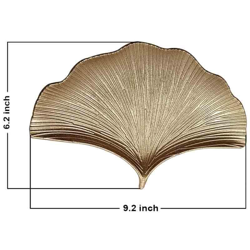 Buy Shell Culture Wall Decor - Set Of Three at Vaaree online | Beautiful Wall Accents to choose from