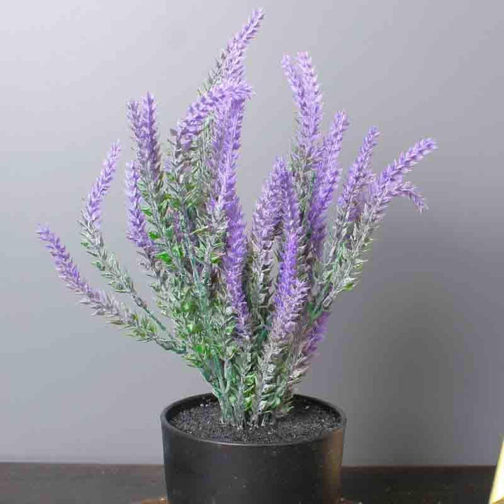 Buy Lumia Pot With Faux Lavender Bush - Black at Vaaree online | Beautiful Artificial Plants to choose from