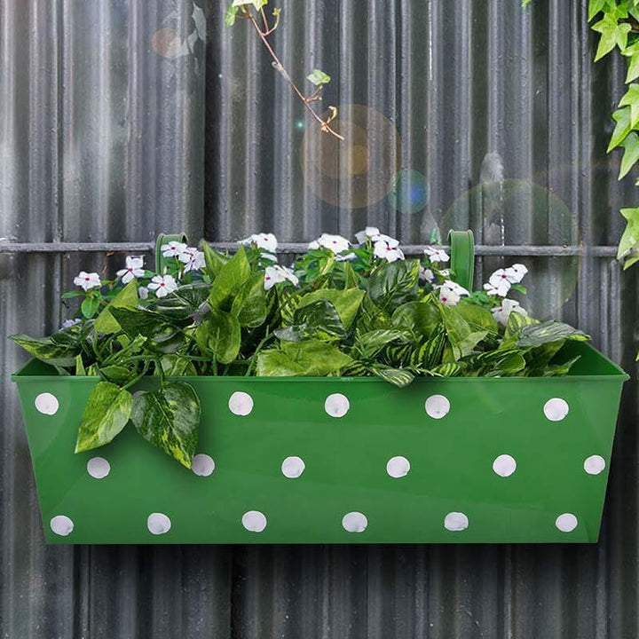 Buy Peppy Polka Planter- Green at Vaaree online | Beautiful Pots & Planters to choose from