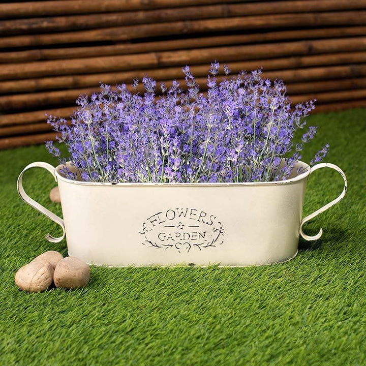 Buy Trophy Tub Planter at Vaaree online | Beautiful Pots & Planters to choose from