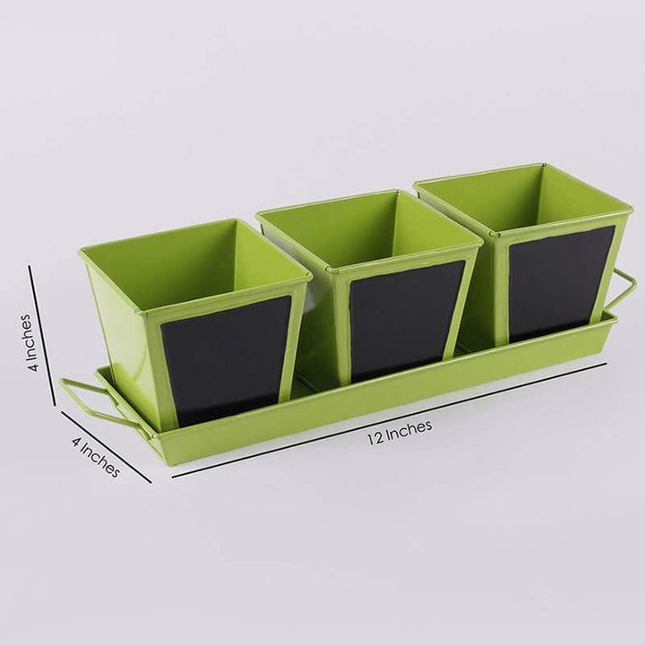 Buy Go Green Planter Set- Green at Vaaree online | Beautiful Pots & Planters to choose from