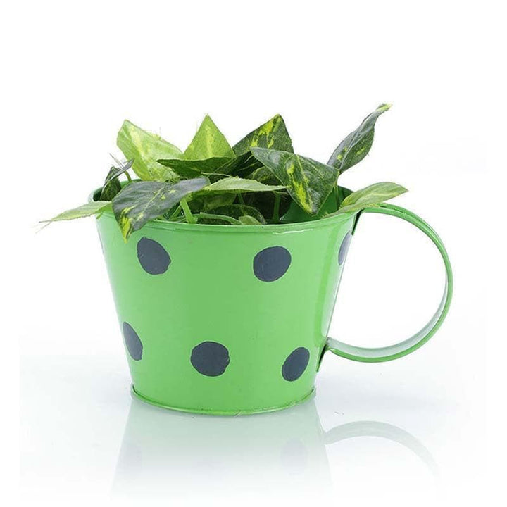Buy Mini Mug Planter- Green at Vaaree online