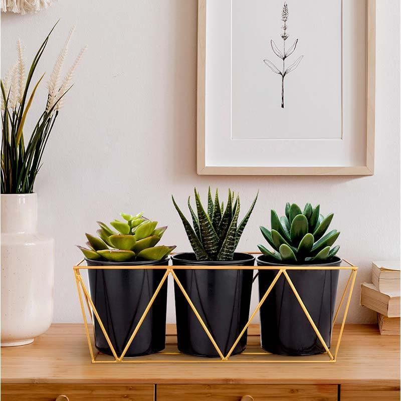 Buy Minimalist Desk Planters at Vaaree online | Beautiful Pots & Planters to choose from