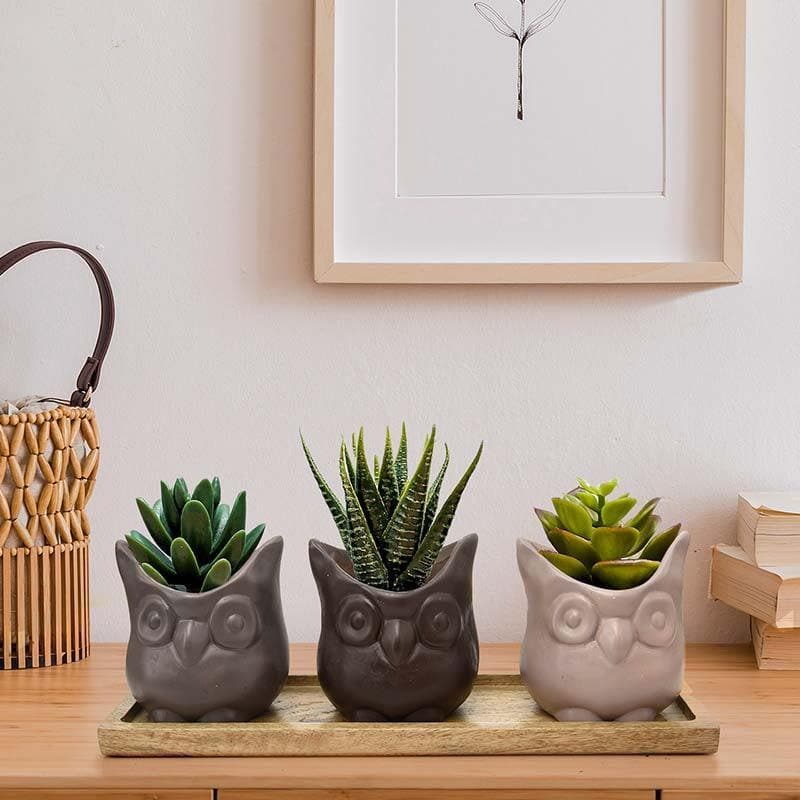 Buy Three Wise Owls Planter Set at Vaaree online | Beautiful Pots & Planters to choose from