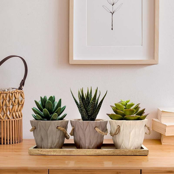 Buy Three Mini-Bucket Planter Set at Vaaree online | Beautiful Pots & Planters to choose from