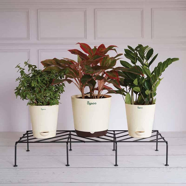 Buy UGAOO Rectangular Flower Pot Stand (Black)- Set Of Two at Vaaree online | Beautiful Garden Accessories to choose from