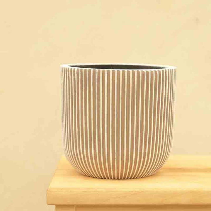 Buy UGAOO Planter Ball Groove - Ivory at Vaaree online | Beautiful Pots & Planters to choose from