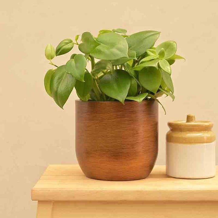 Buy UGAOO Planter Ball Retro- Gold at Vaaree online | Beautiful Pots & Planters to choose from