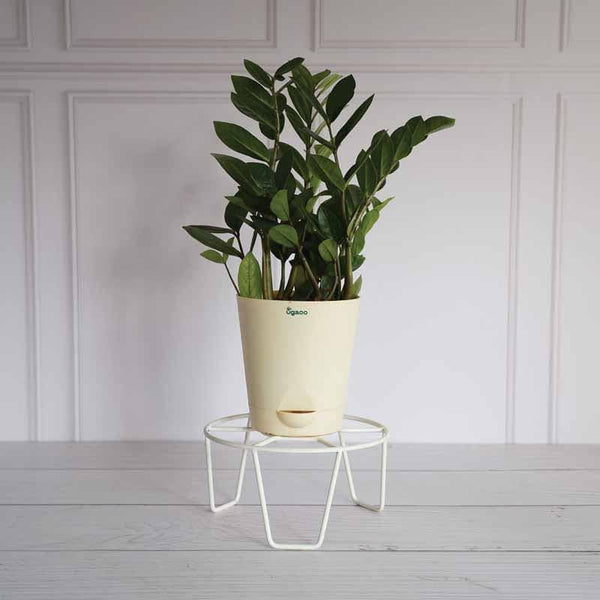 Buy UGAOO Round Flower Pot Stand (White)- Set Of Eight at Vaaree online | Beautiful Garden Accessories to choose from