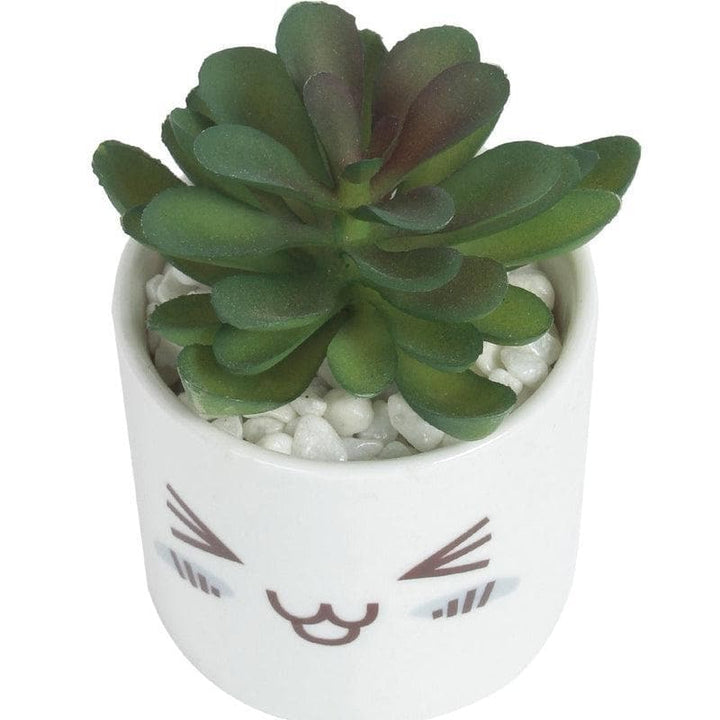 Buy Blushing Emoji Plant Pot & Planter at Vaaree online | Beautiful Faux Plant to choose from