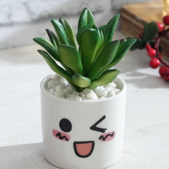 Buy Wink It Out Plant Pot & Planter at Vaaree online | Beautiful Faux Plant to choose from