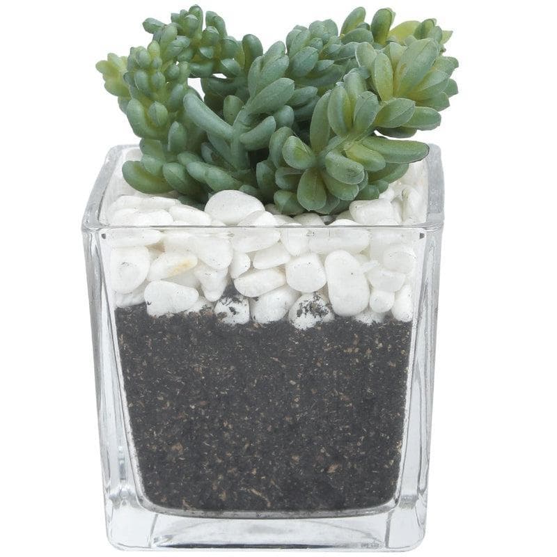 Buy Mini Faux Plant Pot & Planter at Vaaree online | Beautiful Faux Plant to choose from