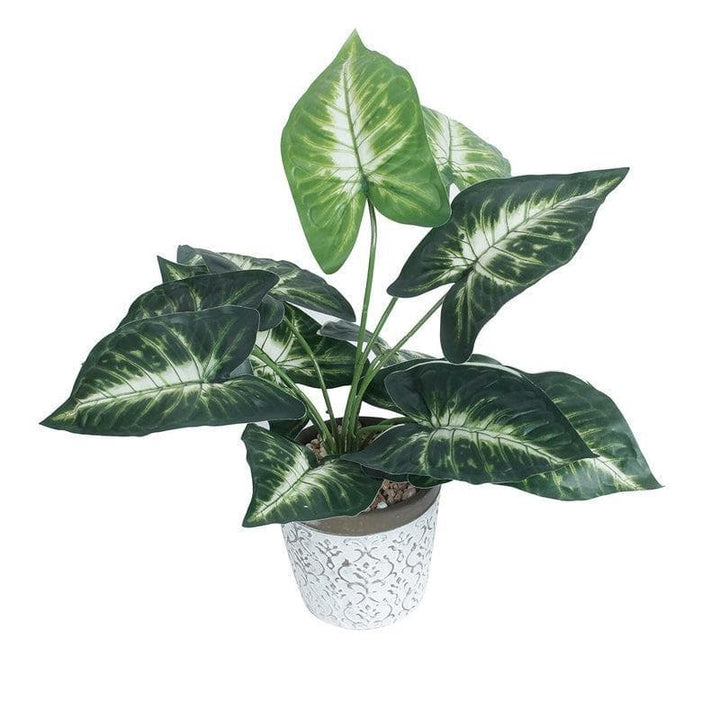 Buy Faux Big Leaf Bonsai at Vaaree online | Beautiful Faux Plant to choose from