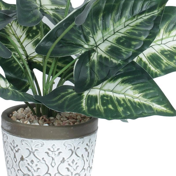 Buy Faux Big Leaf Bonsai at Vaaree online | Beautiful Faux Plant to choose from