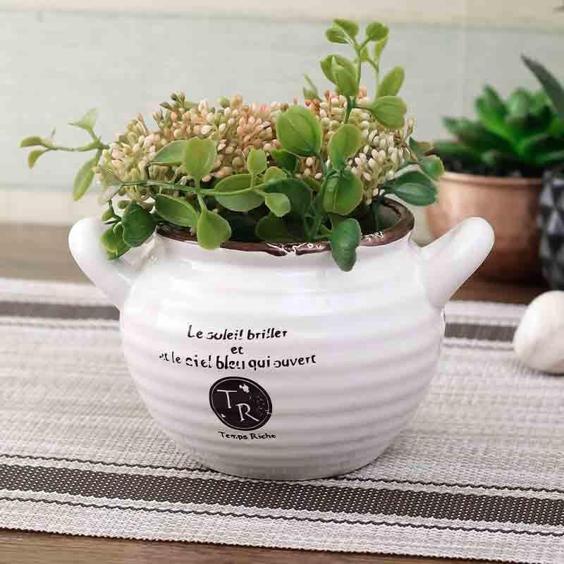 Buy White Bucket Table Planter at Vaaree online | Beautiful Pots & Planters to choose from
