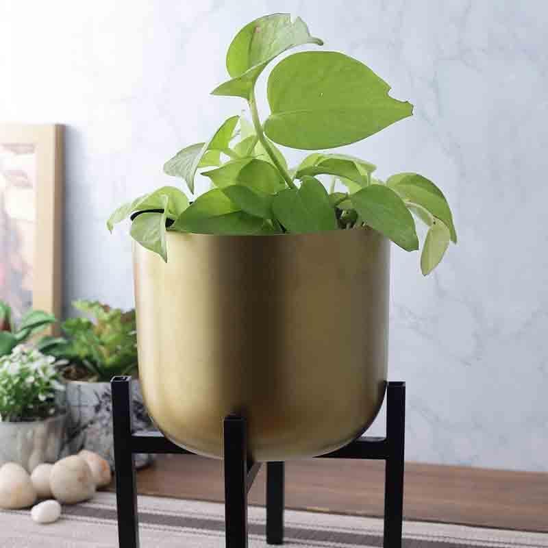 Buy Gold Glory Planter With Stand at Vaaree online | Beautiful Pots & Planters to choose from