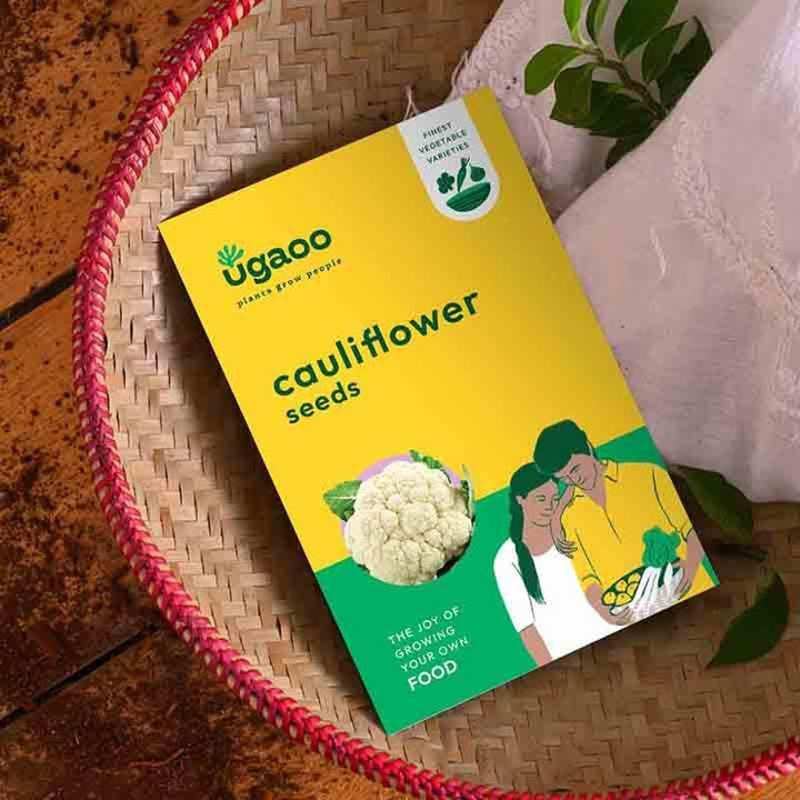 Buy Ugaoo Cauliflower Seeds at Vaaree online | Beautiful Seeds to choose from