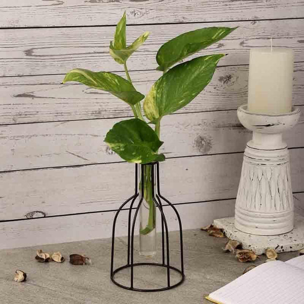 Buy Tracey Testube Outline Planter at Vaaree online | Beautiful Vase to choose from