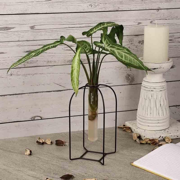 Buy Zenith Testube Planter - Black at Vaaree online | Beautiful Vase to choose from