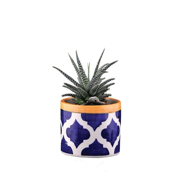 Buy Ugaoo Pipe Rose Blue Ceramic Pot at Vaaree online | Beautiful Pots & Planters to choose from