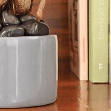 Buy Ugaoo Lilac Stories 6021 Grey Ceramic Pot at Vaaree online | Beautiful Pots & Planters to choose from